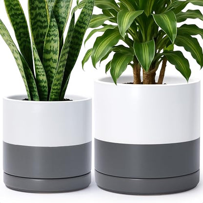 D'vine Dev 2-Pack Ceramic Pots with Saucers, 8/10 in, White/Grey, 94-G-L-6 | Glazed Ceramic, Drainage Hole, Perfect-Fit Saucer, Sleek Cylinder Shape, High Temperature Fired, Elegant Home Accent - color: White/Speckled Grey, size: Large