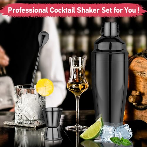 24oz Cocktail Shaker Set Martini Shaker Set Bartender Set | Professional 18/8 Stainless Steel Bar Tools with Margarita Mixer Drink Shaker, Measuring Jigger and Mixing Spoon (Black) - color: Black