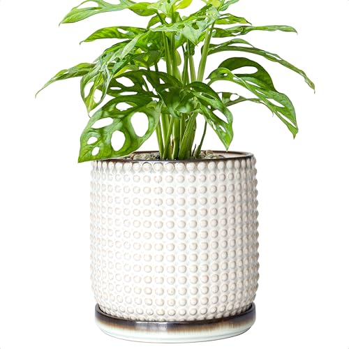D'vine Dev Beaded Ceramic Pot with Saucer, 6 in, Smoked White, 27-C-X-1 | Embossed Dot Texture, Smooth Glazed Finish, Timeless Vintage Charm, Drainage Holes, Stylish Accent for Modern Home Décor - color: Smoked White, size: 5.8 Inch