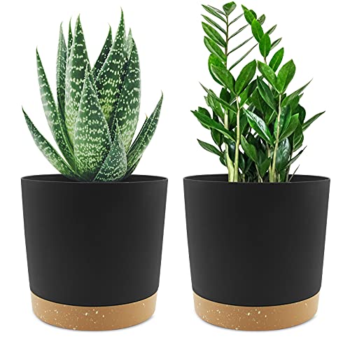 QCQHDU 6.5 inch Plant Pot, 2 Pack Planters for Indoor Plants with Drainage Holes & Saucer, Outdoor Flower Pots Home Garden Modern Decor - color: Dark Grey, size: 6.5 inch
