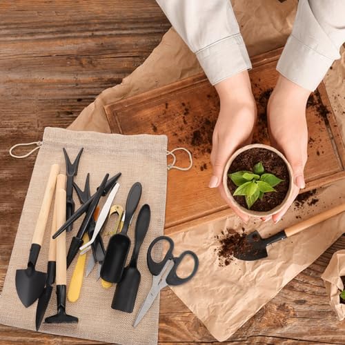 LALAFINA 15pcs Mini Gardening Tools Set for Indoor Plants with Portable Potting and Transplanting Handheld Tools for Succulents and Bonsai Garden Use