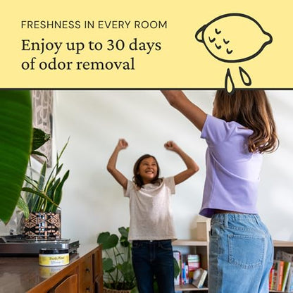 Fresh Wave Lemon Odor Eliminator Gel 3-Pk 7 oz - Air Freshener for Home | Plant-based essential oils. Lasts 15-30 days per jar. No plug-in needed. Pet-safe, closet and bathroom deoderizer. - size: 7 Fl Oz (Pack of 3)