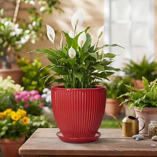 Ceramic Planter, 6 Inch Plant Pot Indoor with Drainage Hole and Saucer, Small Pots for Plants, Modern Succulent Flower Pot, Round Planter, House Garden Decor, Plant Gifts for Women Men, Red - size: 6 Inch, style: Red