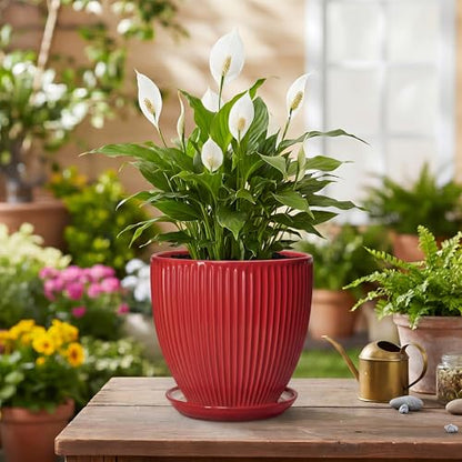 Ceramic Planter, 6 Inch Plant Pot Indoor with Drainage Hole and Saucer, Small Pots for Plants, Modern Succulent Flower Pot, Round Planter, House Garden Decor, Plant Gifts for Women Men, Red - size: 6 Inch, style: Red