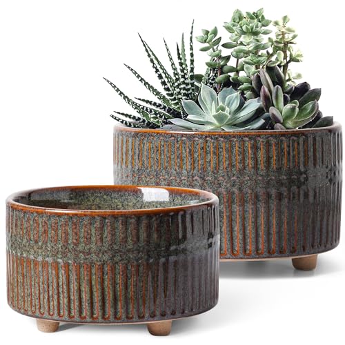 LE TAUCI Succulent Pots, 6.5+8 Inch Ceramic Pots for Plants Indoor, Shallow Round Succulent Planters with Drainage Hole, Set of 2, Reactive Glaze Black - color: Reactive Glaze Black