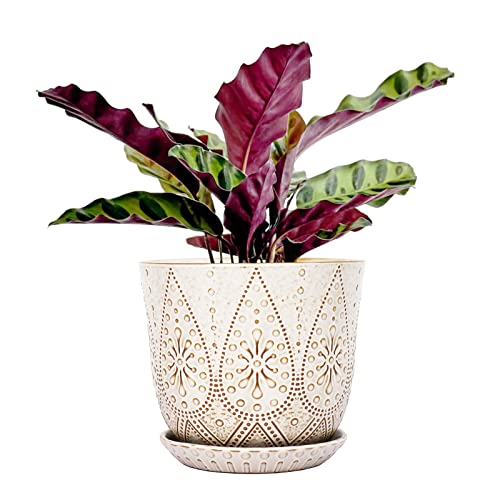 Gepege 8 Inch White Ceramic Plant Pot with Drainage & Saucer | Large ceramic plant pot with drainage hole, ceramic saucer and mesh pad, ideal for indoor plants, flowers and houseplants - color: Cream White, size: 8 Inch