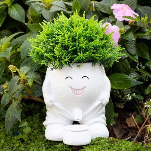 Funny Planters Smiley Face Planter Pot with Drainage Hole, Cute Resin Succulent Plant Pots, Unique Novelty Cute Cactus Face Pots for Office Desk Plant Pots Gift White - color: White-a