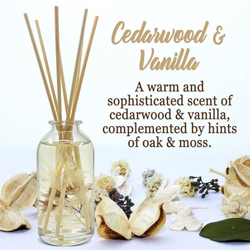 Reed Diffuser Set, Cedarwood & Vanilla - Bathroom Décor | Made with Essential Oils & Real Botanicals, Cedar, Oak and Moss, Made in the USA - color: Cedarwood & Vanilla