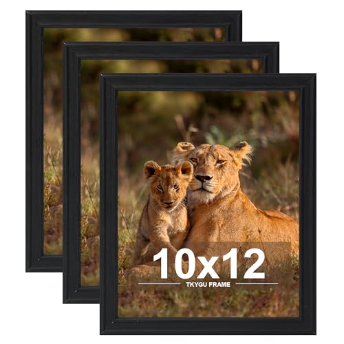 10x12 Picture Frame set of 3,Modern Style Woode Frame black for Wall Hanging, Horizontally or Vertically, 10 x 12 Wall Gallery Poster Photo Frame best gift - color: Black-3PCS, size: 10X12in
