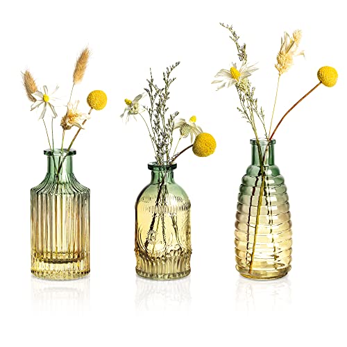 Joeyan Small Embossed Glass Bud Vase Set of 3,Green and Amber Colored Rustic Decorative Vase for Single Flower and Dry Flowers - color: Embossed Bud Vase Bulk Set of 3