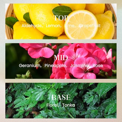 M&SENSE 6.3 oz Large Reed Diffuser Set | Fresh Grapefruit Scent Oil Diffuser with Sticks | Hotel Collection Non-Toxic Essential Oil |for Bedroom Bathroom Living Room - color: Fresh Grapefruit, size: 180ml