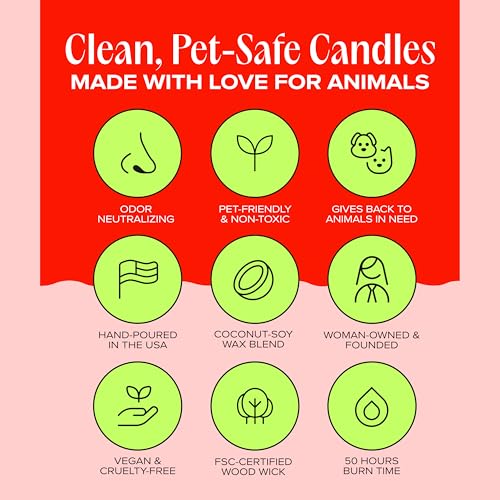 Anywhere with You Pet-Friendly Scented Candle – Grapefruit & Vanilla Fragrance - Coconut Soy Wax Candle with Wooden Wick, Approx. 50-Hour Burn Time, Made in USA, 11.8 oz - color: Anywhere with You