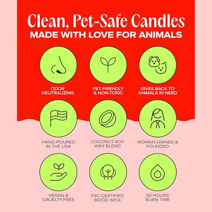 Anywhere with You Pet-Friendly Scented Candle – Grapefruit & Vanilla Fragrance - Coconut Soy Wax Candle with Wooden Wick, Approx. 50-Hour Burn Time, Made in USA, 11.8 oz - color: Anywhere with You