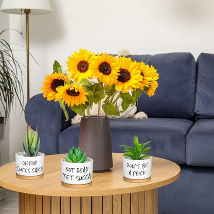 9 Pcs Funny Succulent Pots Ceramic Planters Bamboo Tray,Funny | Cute Aloe Cactus Planters with Drainage, White Mini Pots for Indoor Desk Decor, Birthday Housewarming Gifts for Women