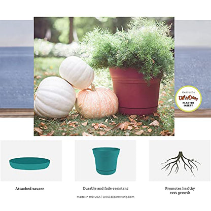 Bloem 010280 Saturn Planter with Saucer, 5", Black (SP0500), 5" - color: Black, size: 5"