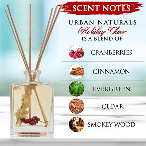 Reed Diffuser Set, Holiday Cheer - Bathroom Shelf Décor | Cranberry, Cinnamon, Evergreen, Cedar & Smokey Wood, Made with Essential Oils, Sleek Rectangular Refillable Glass Bottle - color: Holiday Cheer-clear