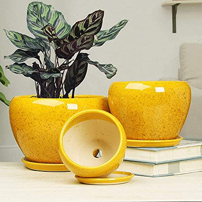 Yellow Ceramic Plant Pot with Tray Modern Glazed Round Flower Pot, Decorative Outdoor/Indoor Planter for Succulents, Cactus, Herbs, Unique Gardening Gift