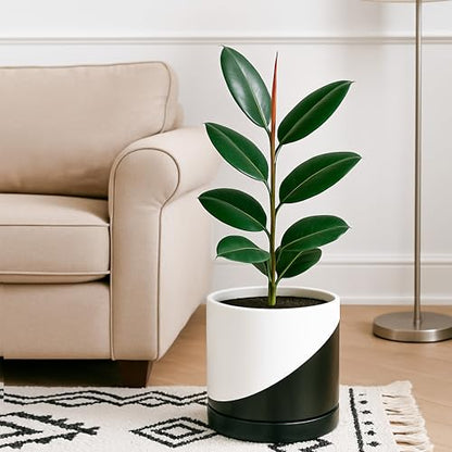 D'vine Dev 10 Inch Ceramic Planter Pot, Black White Diagonal, 94-O-E-K | Modern Cylinder Design, Drainage Hole & Saucer Included, Stable Structure, Elegant Home Accent - color: Oblique Monochrome Black & White, size: Large