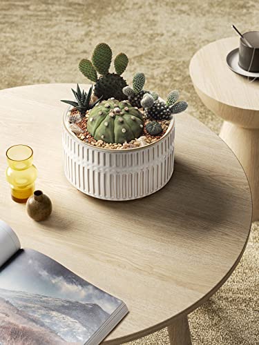 LE TAUCI Succulent Planters, 6.5+8 Inch Ceramic Indoor Plant Pot with Drainage Hole, Shallow Round Succulent Pots, Set of 2, Reactive Glaze White - color: Reactive Glaze White