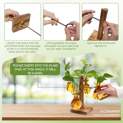 Plants Propagation Stations Bulb Glass Propagation Birthday Gift for Women | Garden Plant Lovers - 4 Bulb - color: Amber