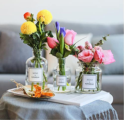 Glass Bud Vase Set Nordic Clear Glass Bud Flowers Apothecary Jars Mini Desktop Table Vases Decorative Glass Bottles Centerpiece for Wedding Craft Art Living Room Home Decoration (8.5oz-1pc) - size: 8.5oz-1pc