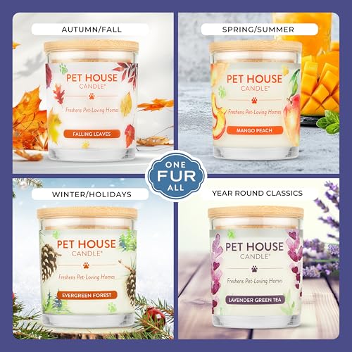 Pet House Candles, Plant-Based, Long Lasting, Pet Friendly Candles for Home, 60 Hour Burn Time - Herb Garden, 9 oz - color: Herb Garden, size: Pack of 1