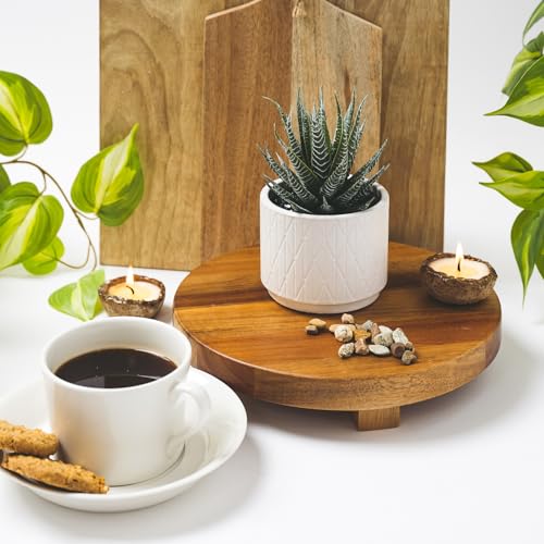 Kurrajong Farmhouse Artificial Succulent Plant in Matte White Ceramic Pot | 7" high Dark Green Aloe Plant | Great as Desk Decor or Bathroom Decor | Beautiful Realistic Faux Succulent