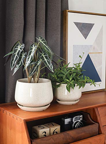 LE TAUCI Plant Pots, 4.1+5.1+6.5 inch, Set of 3, Ceramic Planters with Drainage Hole and Saucer, Indoor Flower Pot with Hole Mesh Pad, Gifts for Mom, Reactive Glaze Beige - color: Reactive Glaze Beige