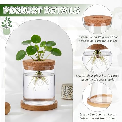 Hushee 12 Pcs Plants Propagation Stations Glass Propagation Jars with Hole Lid Hydroponic Terrarium Vases Gifts for Plant Lovers Home Indoor Office Tabletop Decoration, 2 Sizes