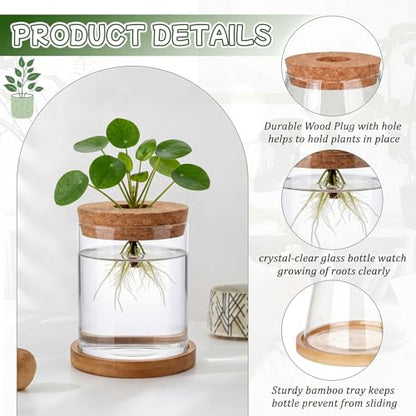 Hushee 12 Pcs Plants Propagation Stations Glass Propagation Jars with Hole Lid Hydroponic Terrarium Vases Gifts for Plant Lovers Home Indoor Office Tabletop Decoration, 2 Sizes