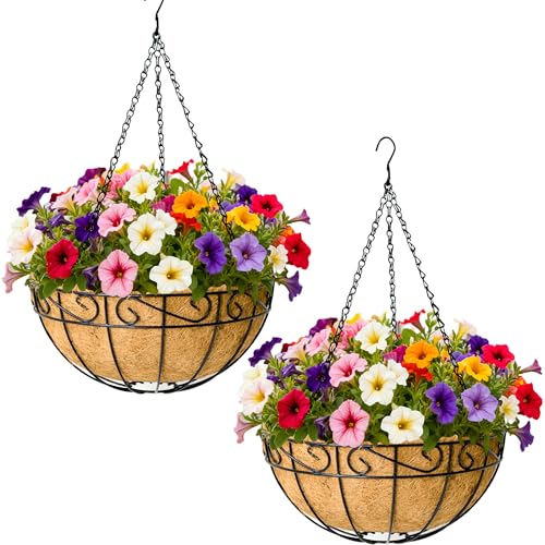 12 Inch Hanging Planters 2 Pack Round Metal Baskets with Coco Liners for Indoor Outdoor Gardens Porch Patio Decor Farmhouse Country Style Garden Decor - color: Lacework
