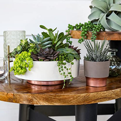The HC Companies 8 Inch Round Plastic Succulent Capri Bowl 8"x8"x3" in Artisan Taupe with Copper Bottom Color - color: Artisan Taupe, size: 8"