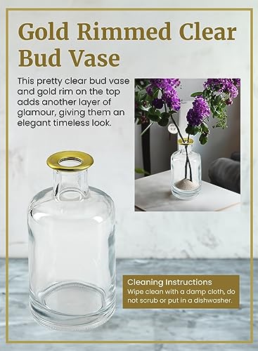 Serene Spaces Living Set of 6 Bud Vases with Gold Tip, Tealight, Pillar Holder, Decorative Vase, Ideal for Wedding, Birthday, Thanksgiving, Christmas - size: Set of 6