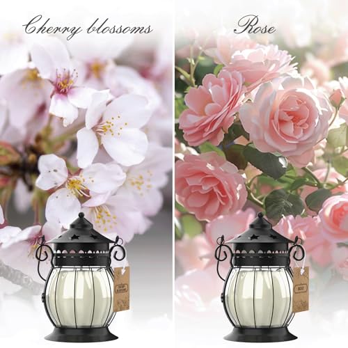 Scented Candles Gifts Set for Women, Aromatherapy Jar Candles for Home | Rosa & Cherry blossom Soy Wax Long Lasting Retro Lantern Candles Perfect for Stress Relief Mum Yoga Bath Spa Christmas - color: Cherry Blossoms, Rose