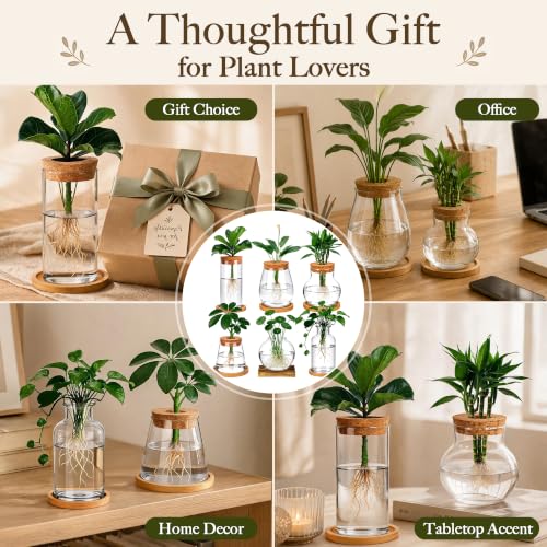 6 Pcs Plant Propagation Station Set, Glass Propagation Vases for Plants with Wooden Lids & Bamboo Stands, Hydroponic Vase Jars for Plant Cuttings, Terrarium Planters for Desk, Home Office Decor