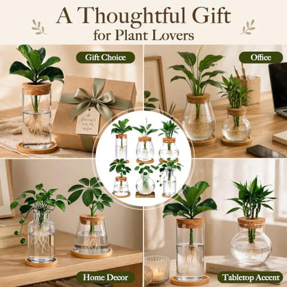 6 Pcs Plant Propagation Station Set, Glass Propagation Vases for Plants with Wooden Lids & Bamboo Stands, Hydroponic Vase Jars for Plant Cuttings, Terrarium Planters for Desk, Home Office Decor