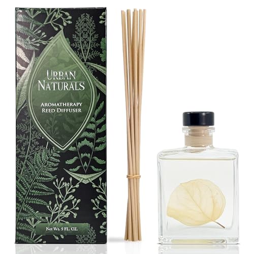 Reed Diffuser Set, Winter Eucalyptus - Bathroom Shelf Décor | Crisp Eucalyptus, Mint, Spruce, Cedar, Amber, Virginian Cedarwood, Sleek Rectangular Refillable Glass Bottle, Made in the USA - color: Winter Eucalyptus