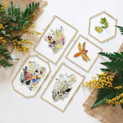 5 Pcs Pressed Flower Frames with Tweezers, Wall Hanging Tabletop Display Double Glass Frames with Metal Chain for Pressed Dried Flowers Plants, Horizontal and Vertical Picture Frame, Golden - color: Gold-5