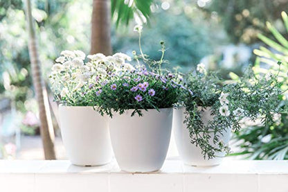 Self Watering Pots for Indoor Plants 3 Pack - Flower Pot with Water Level Indicator for Plants, Grow Tracking Tool - Self Watering Planter Plant Pot - Coco Coir - White