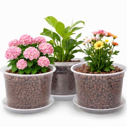10 Inch Clear Nursery Pots with Drainage Holes and Saucers, 5 Pack Large Clear Pots for Plants Variety Pack, Seedling Pots for Succulents, Herbs, Flowers, Vegetables - size: 10 inch