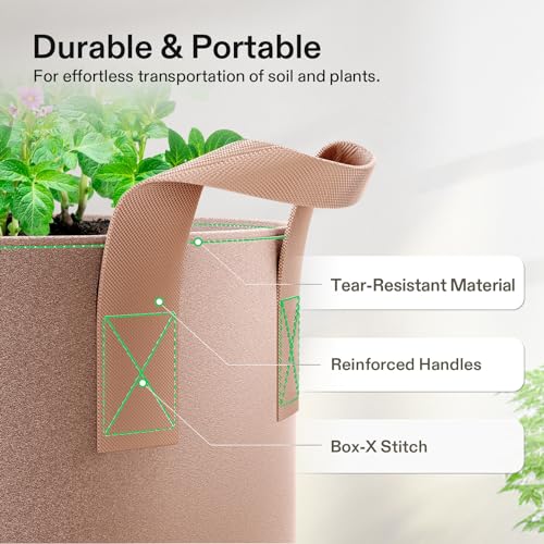 VIVOSUN 5-Pack 1 Gallon Plant Grow Bags Fabric Pots with Handles | 300G Thickened Nonwoven Fabric, Excellent Drainage, Healthy Root Growth, BPA-Free, Reusable - color: Tan, size: 1 Gallon