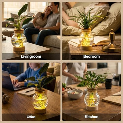 Propagation Stations, Plant Propagation Station with Light Base, Glass Propagation Vases, Hydroponic Vase for Plants, Glass Terrarium for Home Office Windowsill Tabletop Decoration (2)