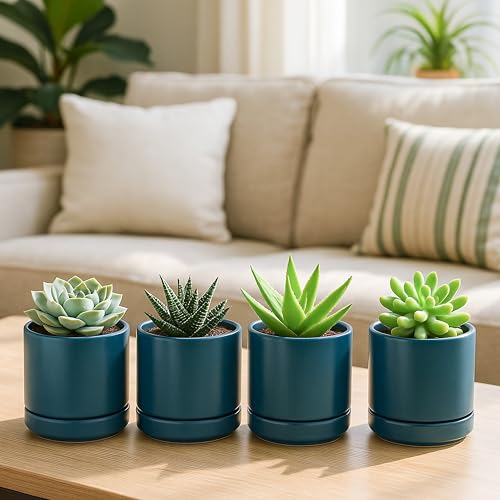 D'vine Dev 4-Pack Ceramic Pots with Saucers, Teal, 4.7 in, 94-X-B-9 | Glazed Ceramic, Drainage Hole and Saucer, Sleek Cylinder Shape, High Temperature Fired, Ideal for Small Houseplants - color: Teal, size: 4.7 Inch