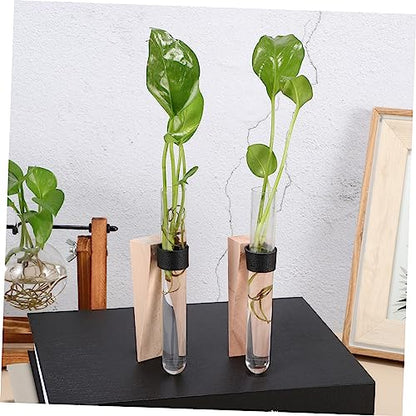 Happyyami Hanging Hydroponic Planter Set Air Plant Wall Holder Indoor Plant Vase Wall Mount Propagation Station