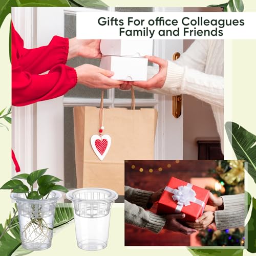 70 Pcs Plastic Plant Propagation Vase for Indoor Decor, 4.25'' | Clear Plastic Vase with Hydroponic Basket, Pet Material, Root Support Design, Easy Water Changes, Home Office Desktop Display - size: 4.25''