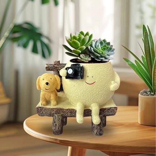 Cute Unique Resin Smiley Face Plant Pot Funny Head Planter for Indoor Flower, Succulent