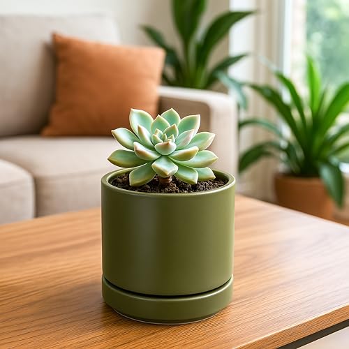 D'vine Dev 4-Pack Ceramic Pots with Saucers, Olive, 4.7 in, 94-X-B-0 | Glazed Ceramic, Drainage Hole and Saucer, Sleek Cylinder Shape, High Temperature Fired, Ideal for Small Houseplants - color: Olive, size: 4.7 Inch