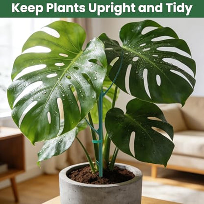 Monstera Plant Support Kit with Waterproof Repotting Mat, 10 Stackable Poles, 9 Curved Connectors, Plant Tie Wire & Hook and Loop Tape for Monstera, Pothos, Philodendron