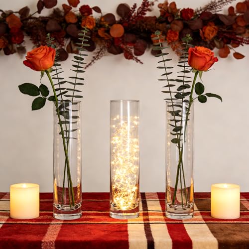 7.48 inch Tall Vases for Flowers,12PCS Glass Cylinder Vase,Bud Vase | Single Rose Bud Vase for Event Decor,Bud Vases in Bulk for Wedding Centerpieces,Home Aesthetic Desk Decor,Party Decorations