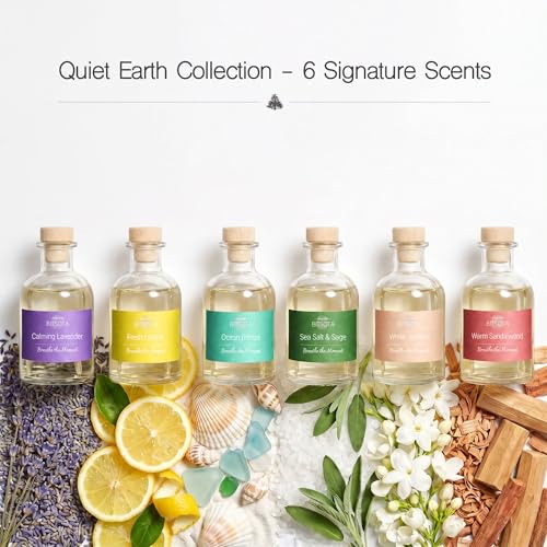 Natural Reed Diffuser Set, Warm Sandalwood 3.52 oz (100ml) Scented Diffuser with Sticks Home Fragrance Reed Diffuser for Bathroom Shelf Decor, Ideal Gift for Woman